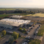 Serpa Plant