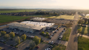 Serpa Plant