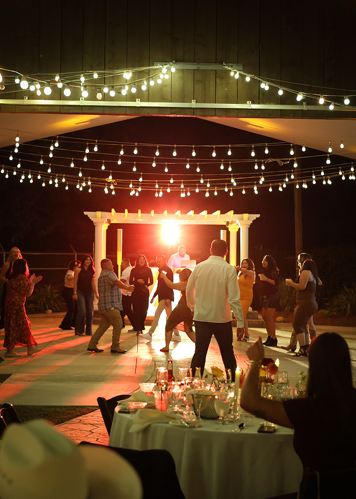 Project 20000101 0048 2