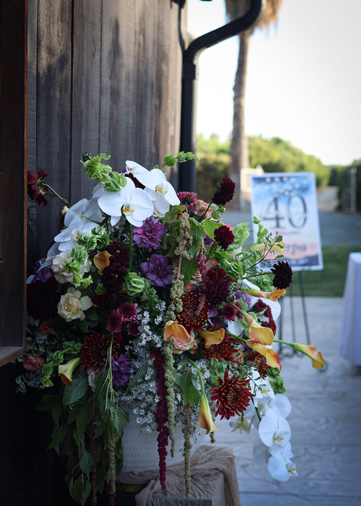 Project 20000101 0049 2